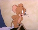 Tom a Jerry (5)