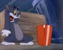 Tom a Jerry (7)